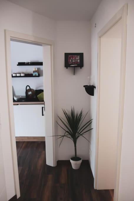 Schoene Wohnung Top Lage Koeln Work & Relax & Travel فريشن المظهر الخارجي الصورة